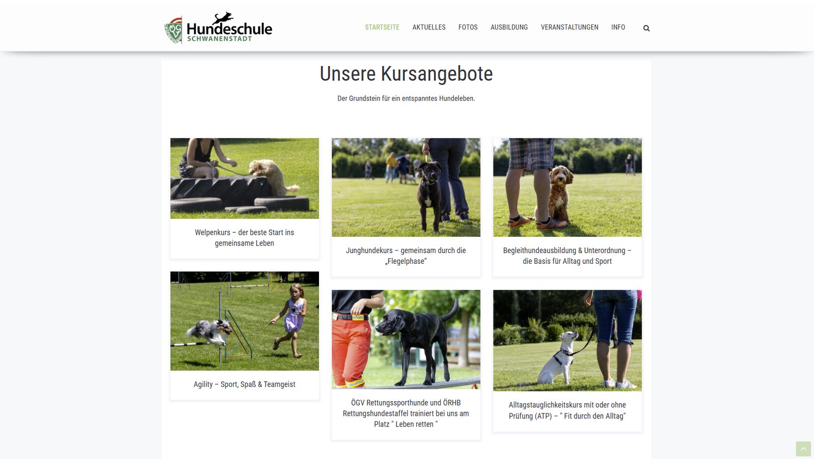 Webseite der Hundeschule Schwanenstadt